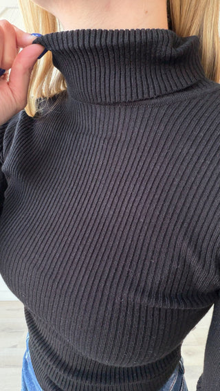 Rhianna Fitted Rib Turtleneck