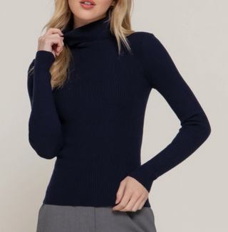 Rhianna Fitted Rib Turtleneck